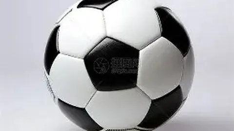 焦科维奇与辛纳巅峰对决，ATP年终总决赛决赛在即