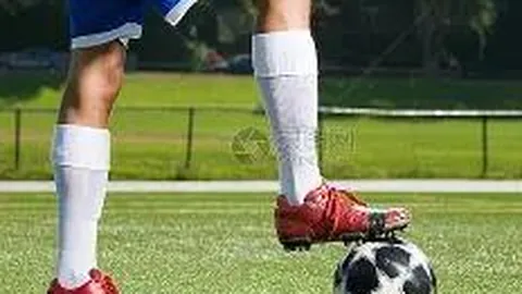 九游娱乐 产品 142026 dpz