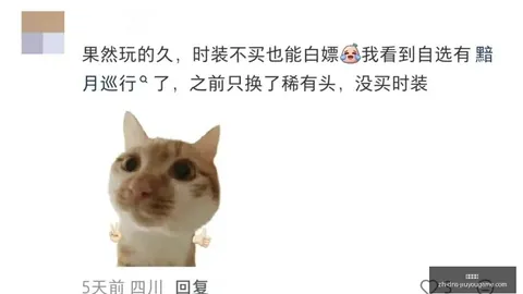 罗特状态巅峰连续12战11胜，昨日8战7胜全记录
